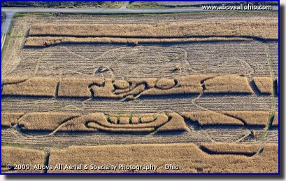 Aerial photo - partially harvested corn maze - rural Ohio